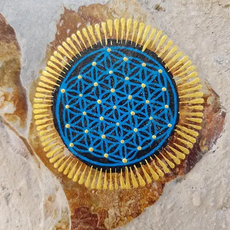 Hyggeland I - Oase Der Stille Im Palmendorf Tazo * Vallehermoso