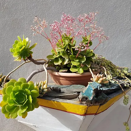 Hyggeland I - Oase Der Stille Im Palmendorf Tazo Lägenhet