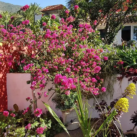 Lägenhet Hyggeland I - Oase Der Stille Im Palmendorf Tazo