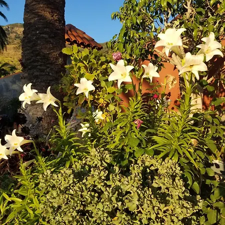Lägenhet Hyggeland I - Oase Der Stille Im Palmendorf Tazo
